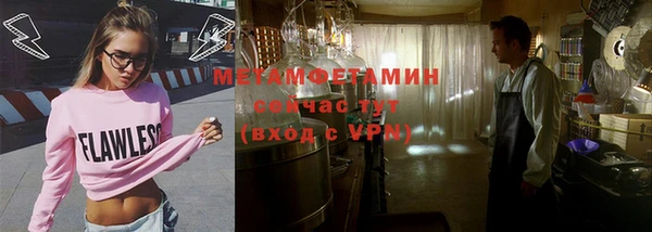 шишки Белокуриха