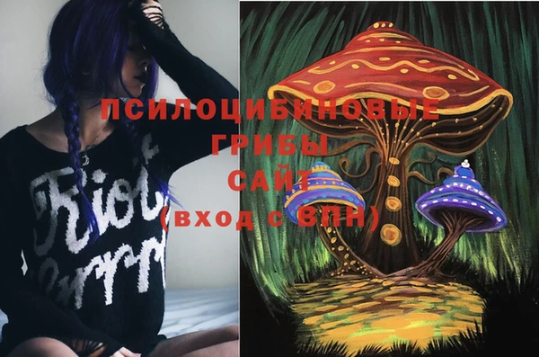 шишки Белокуриха