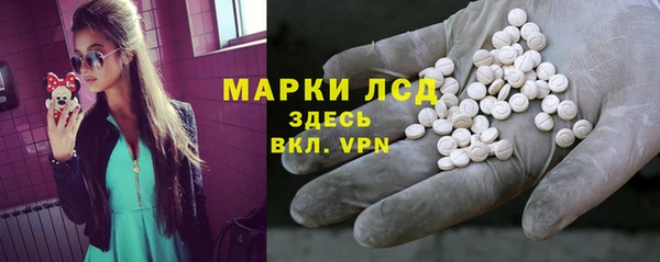 шишки Белокуриха