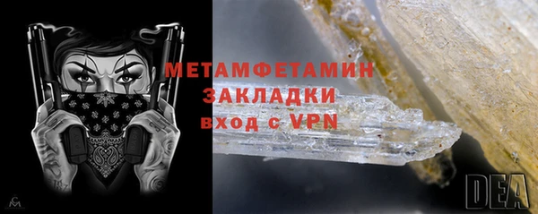 шишки Белокуриха