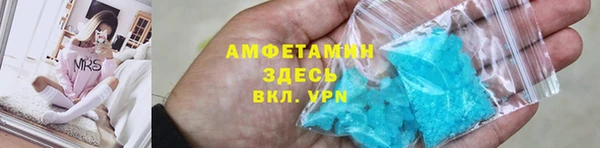 шишки Белокуриха