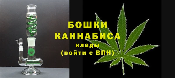 шишки Белокуриха