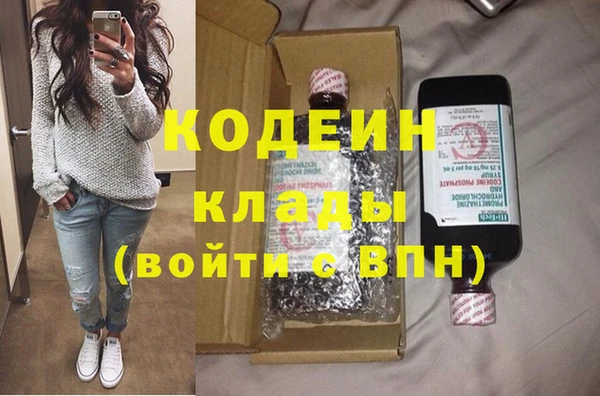шишки Белокуриха
