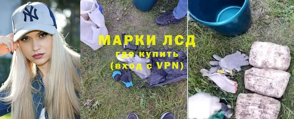 шишки Белокуриха
