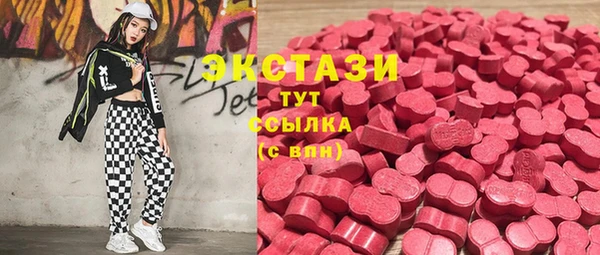 шишки Белокуриха