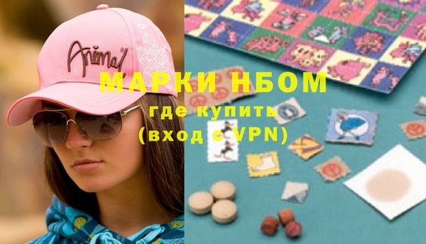 шишки Белокуриха
